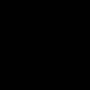 Meet your Posher, Summer